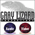 Gray Lizard